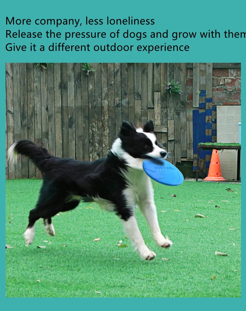 Juguete para perros Disco volador