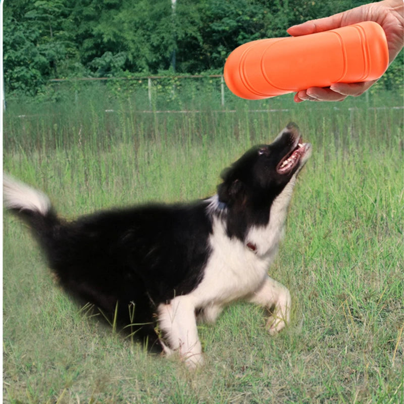 Juguete para perros Disco volador