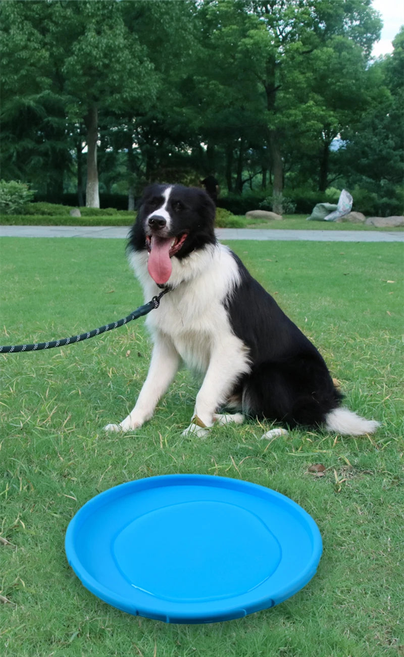 Juguete para perros Disco volador