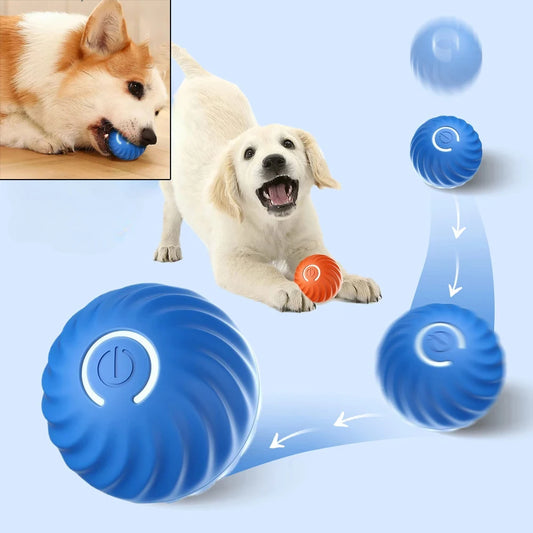 Pelota de juguete para perros automática